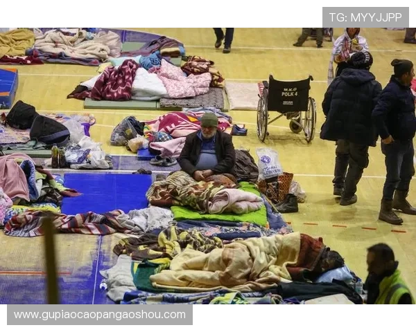 土耳其持续地震引发赌球调查新进展教练将成为调查重点